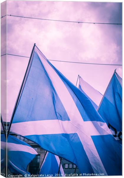 Scottish Flags, Independence March Canvas Print by Malgorzata Larys