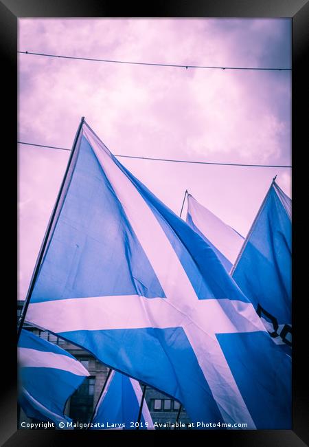 Scottish Flags, Independence March Framed Print by Malgorzata Larys