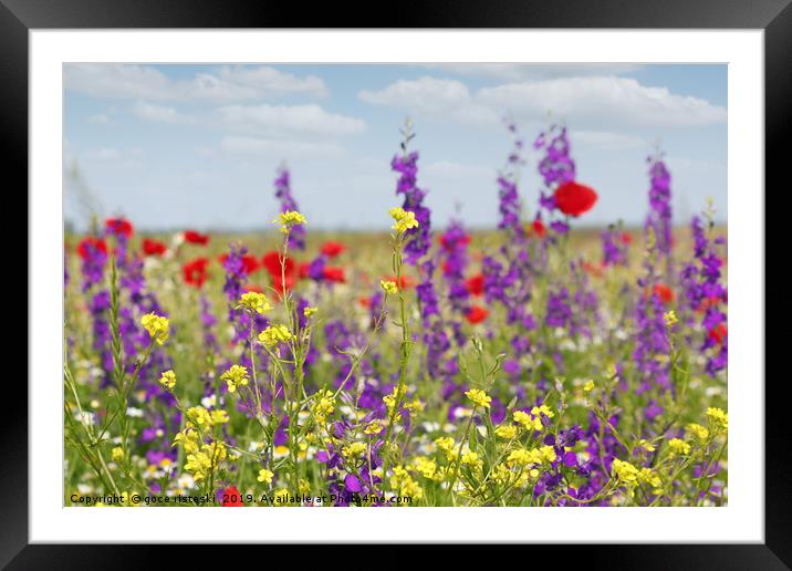 spring meadow with flowers nature scene Framed Mounted Print by goce risteski