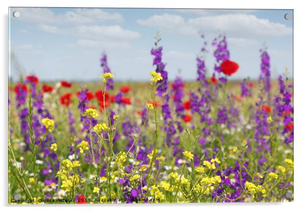 spring meadow with flowers nature scene Acrylic by goce risteski