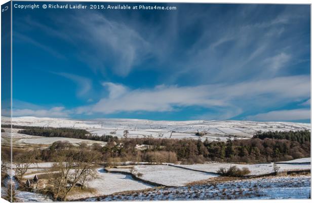 Winter at Bowlees, Teesdale Canvas Print by Richard Laidler