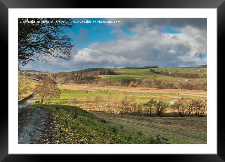 Ettersgill from Holwick, Teesdale in Autumn Framed Mounted Print by Richard Laidler