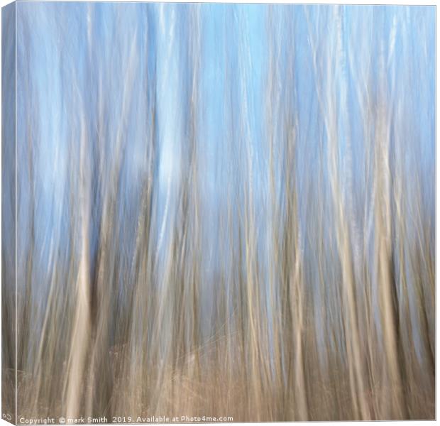 Silver  Birches Canvas Print by mark Smith