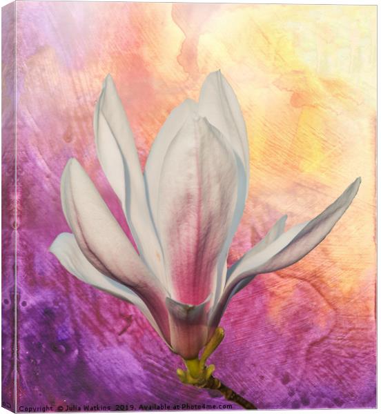 Magnolia Flower  Canvas Print by Julia Watkins