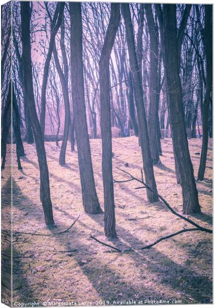 Magical forest  Canvas Print by Malgorzata Larys