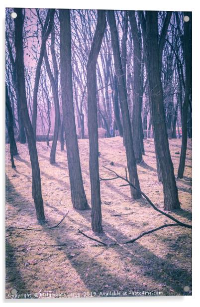 Magical forest  Acrylic by Malgorzata Larys