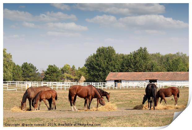 horses in corral farm scene Print by goce risteski