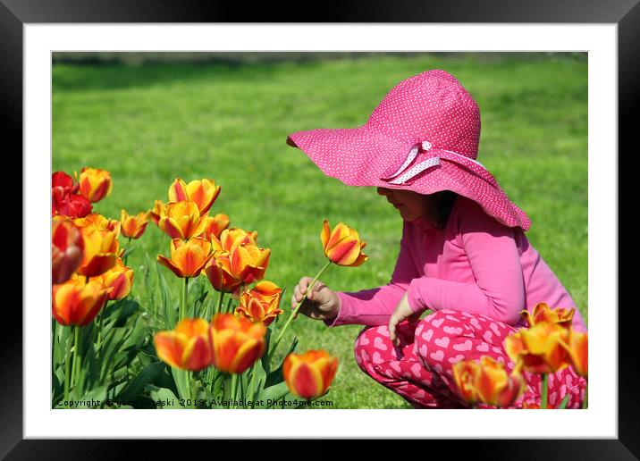 little girl smell tulip flower spring scene Framed Mounted Print by goce risteski