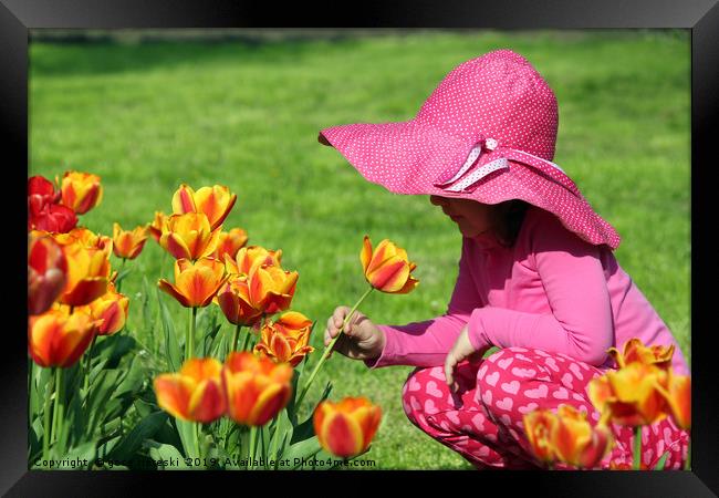 little girl smell tulip flower spring scene Framed Print by goce risteski