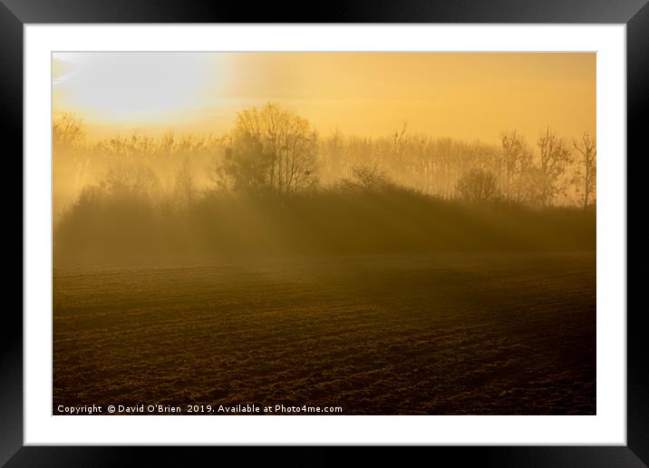 Early morning rural scene Framed Mounted Print by David O'Brien