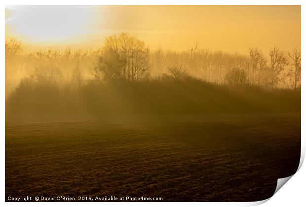 Early morning rural scene Print by David O'Brien
