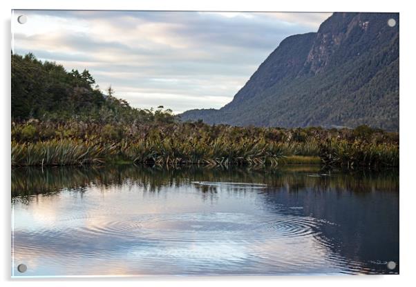 Mirror lake, between Te Anua and Milford Sound, Ne Acrylic by Hazel Wright