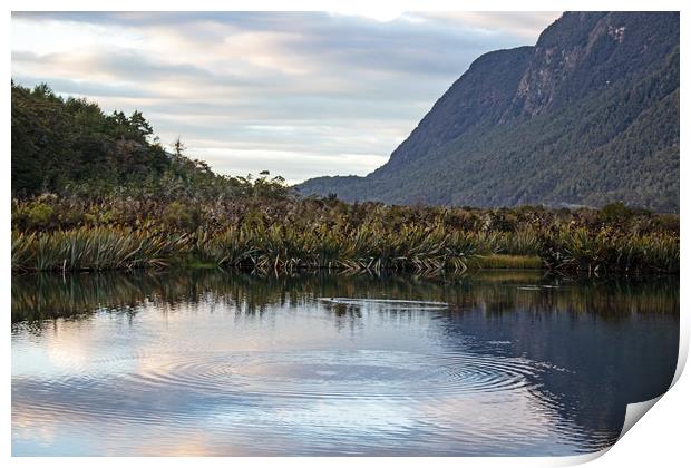 Mirror lake, between Te Anua and Milford Sound, Ne Print by Hazel Wright