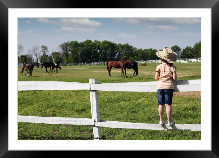 child standing on the corral and watching horses Framed Mounted Print by goce risteski