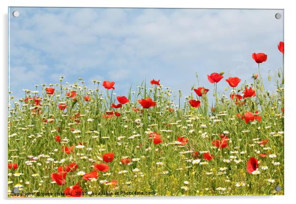 colorful meadow with wild flowers Acrylic by goce risteski