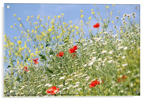 meadow with wild flowers nature scene Acrylic by goce risteski