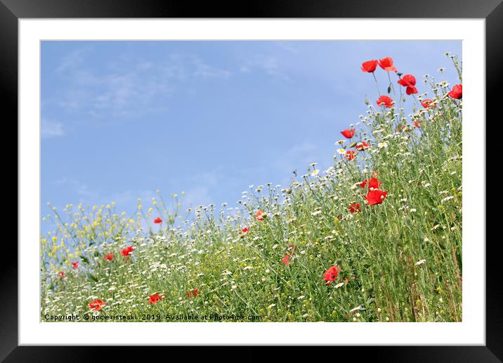meadow with wild flowers landscape Framed Mounted Print by goce risteski