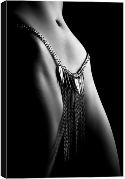 Woman close-up chain panty Canvas Print by Johan Swanepoel