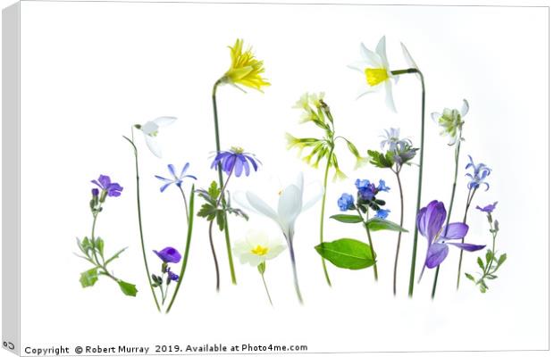 Springtime Canvas Print by Robert Murray