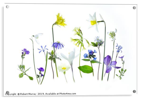 Springtime Acrylic by Robert Murray