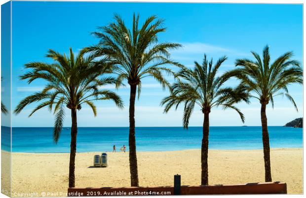 Palms at Magaluf,  Mallorca Canvas Print by Paul F Prestidge