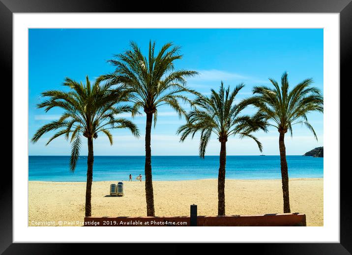 Palms at Magaluf,  Mallorca Framed Mounted Print by Paul F Prestidge