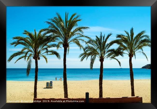 Palms at Magaluf,  Mallorca Framed Print by Paul F Prestidge