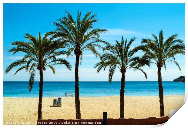 Palms at Magaluf,  Mallorca Print by Paul F Prestidge