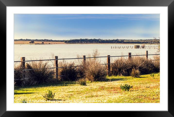 Beautiful view of meadow fenced with wooden poles  Framed Mounted Print by Juan Ramón Ramos Rivero