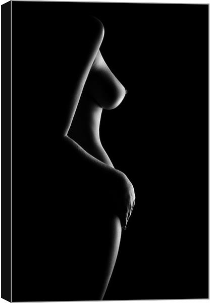 Nude woman bodyscape 20 Canvas Print by Johan Swanepoel