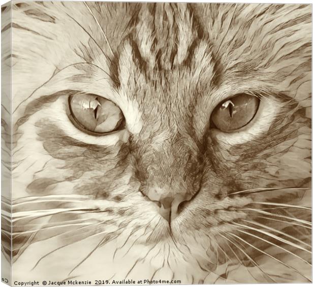 KIT CAT Canvas Print by Jacque Mckenzie