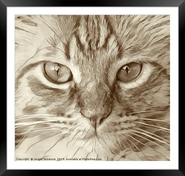 KIT CAT Framed Mounted Print by Jacque Mckenzie