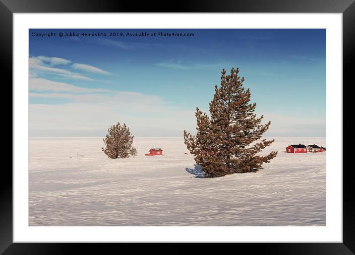 Pine Trees On An Icy Beach Framed Mounted Print by Jukka Heinovirta