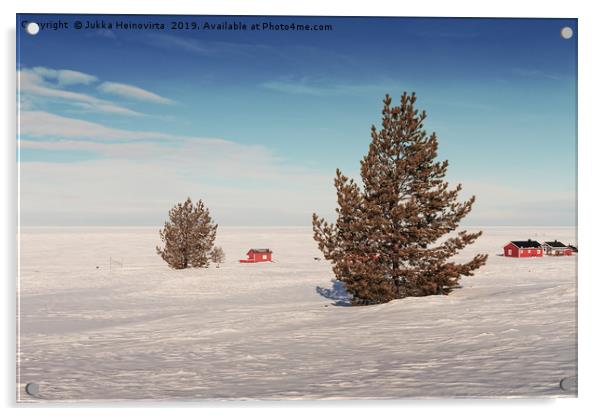 Pine Trees On An Icy Beach Acrylic by Jukka Heinovirta
