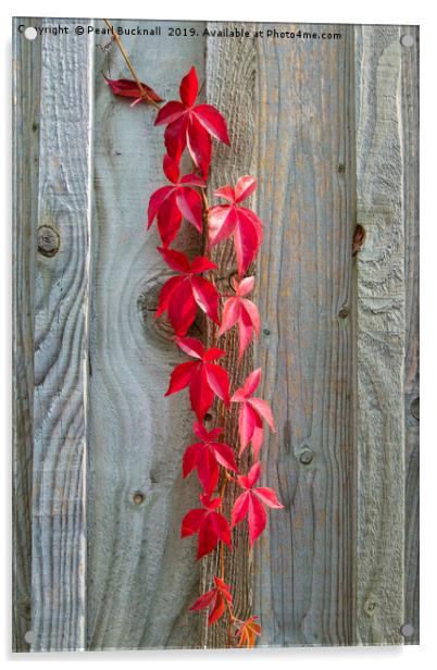 Red Leaves on Rustic Wood Acrylic by Pearl Bucknall