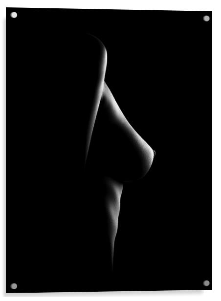 Nude woman bodyscape 21 Acrylic by Johan Swanepoel
