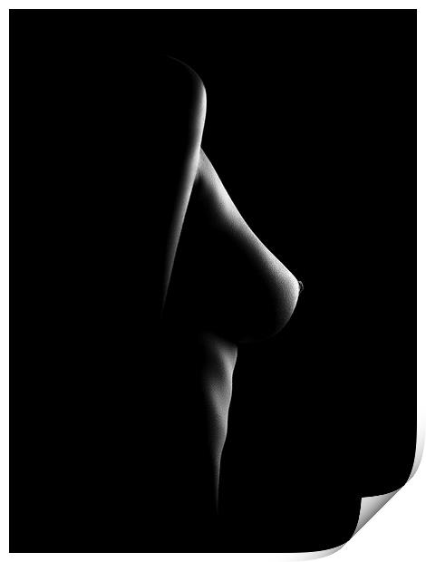 Nude woman bodyscape 21 Print by Johan Swanepoel