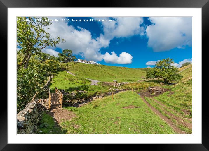 Birch Bush, a typical Upper Teesdale Hill Farm Framed Mounted Print by Richard Laidler