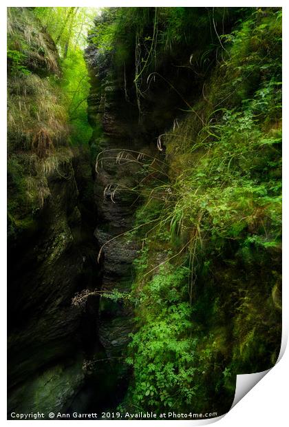 Devils Bridge, Ceredigion Wales 5 Print by Ann Garrett