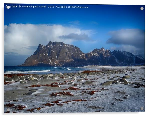 Lofoten winters - jagged cliffs, snow on the beach Acrylic by yvonne & paul carroll
