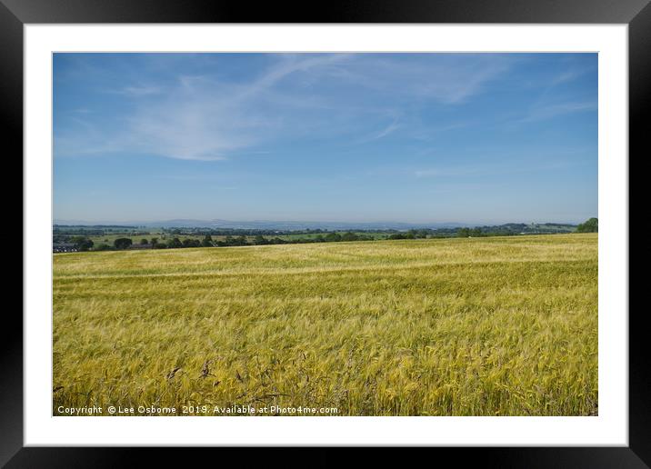 Wheat fields Framed Mounted Print by Lee Osborne
