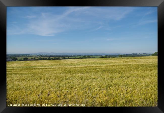 Wheat fields Framed Print by Lee Osborne