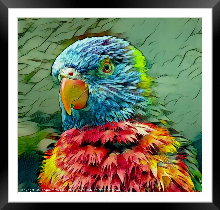 PRETTY POLLY PARROT Framed Mounted Print by Jacque Mckenzie