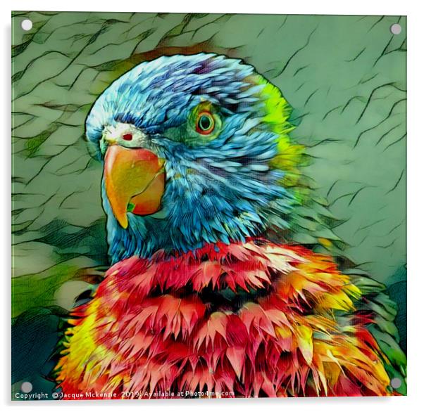PRETTY POLLY PARROT Acrylic by Jacque Mckenzie