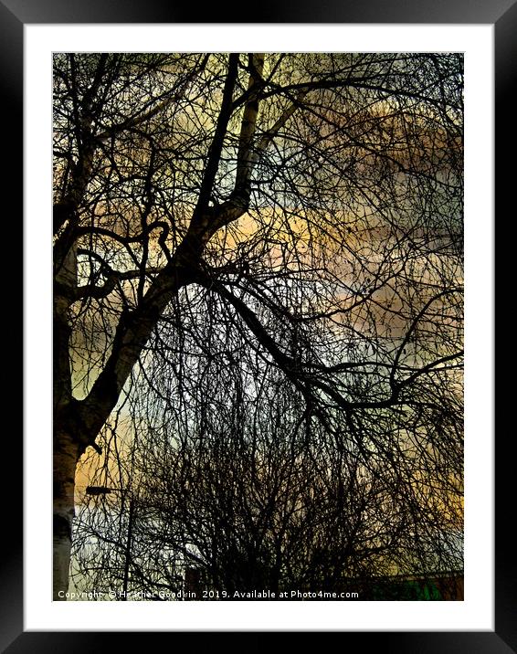 Urban Winter Framed Mounted Print by Heather Goodwin