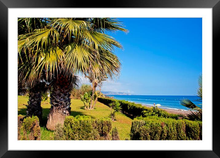 Palm trees Torrox Costa del Sol Spain Framed Mounted Print by Andy Evans Photos