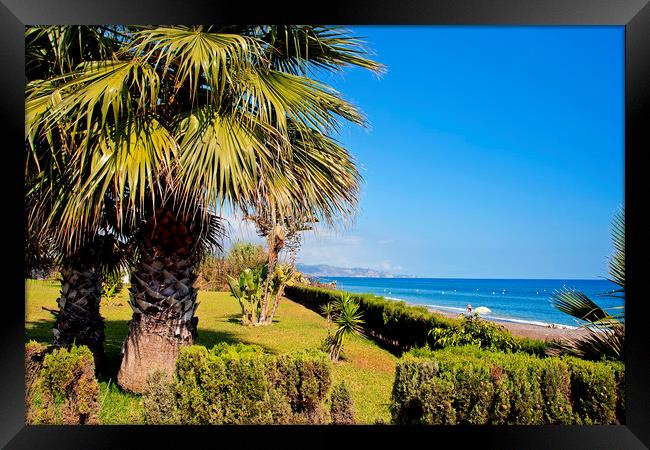 Palm trees Torrox Costa del Sol Spain Framed Print by Andy Evans Photos