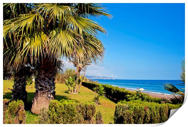 Palm trees Torrox Costa del Sol Spain Print by Andy Evans Photos