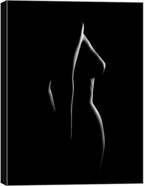 Nude woman bodyscape 22 Canvas Print by Johan Swanepoel