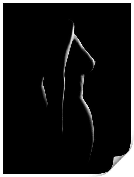 Nude woman bodyscape 22 Print by Johan Swanepoel